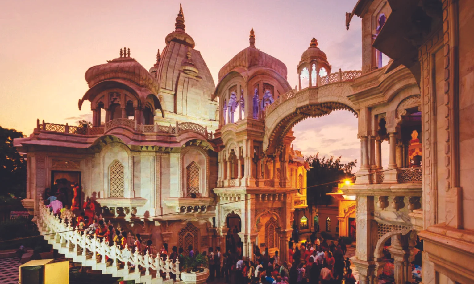 Shri Vrinda Orchids Plots and Villas